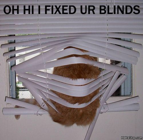 MAGPOST NG MAGPOST..... - Page 2 I_Fixed_Your_Blinds