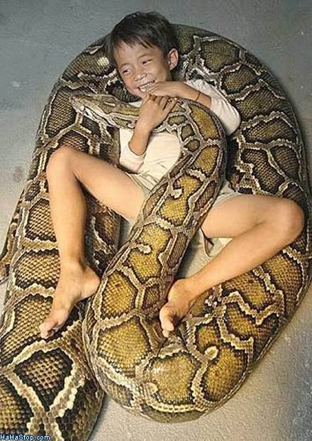 MAGPOST NG MAGPOST..... - Page 20 Kid_Wrapped_In_Snake