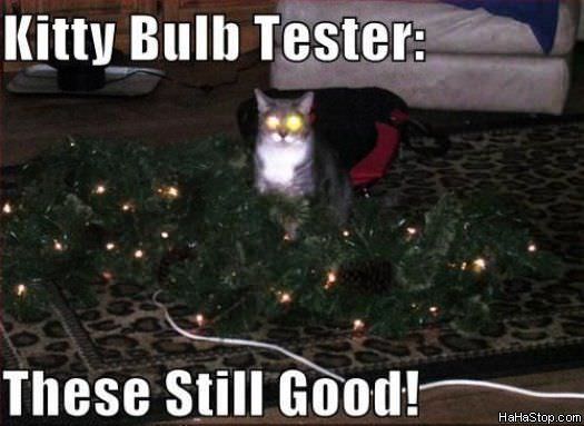 MAGPOST NG MAGPOST..... - Page 11 Kitty_Bulb_Tester