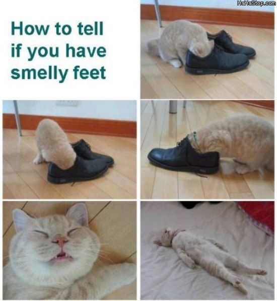 MAGPOST NG MAGPOST..... - Page 19 Smelly_Feet