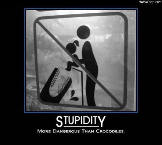 MAGPOST NG MAGPOST..... - Page 19 Stupidity731