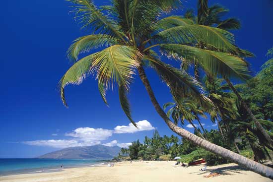 Vende te ndryshme turistike - Faqe 3 Maui-beachfront550