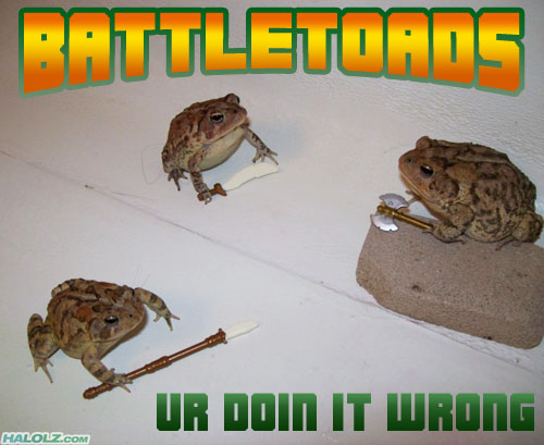 Picture War Halolz-dot-com-battletoads-urdoinitwrong