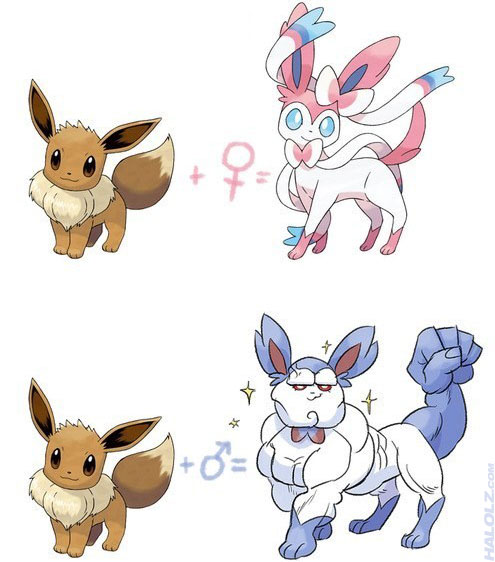 Pokemon X & Y               - Seite 2 Halolz-dot-com-pokemon-sylveon-maleevolution