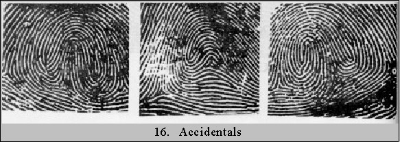 falling loop fingerprints Accid-1