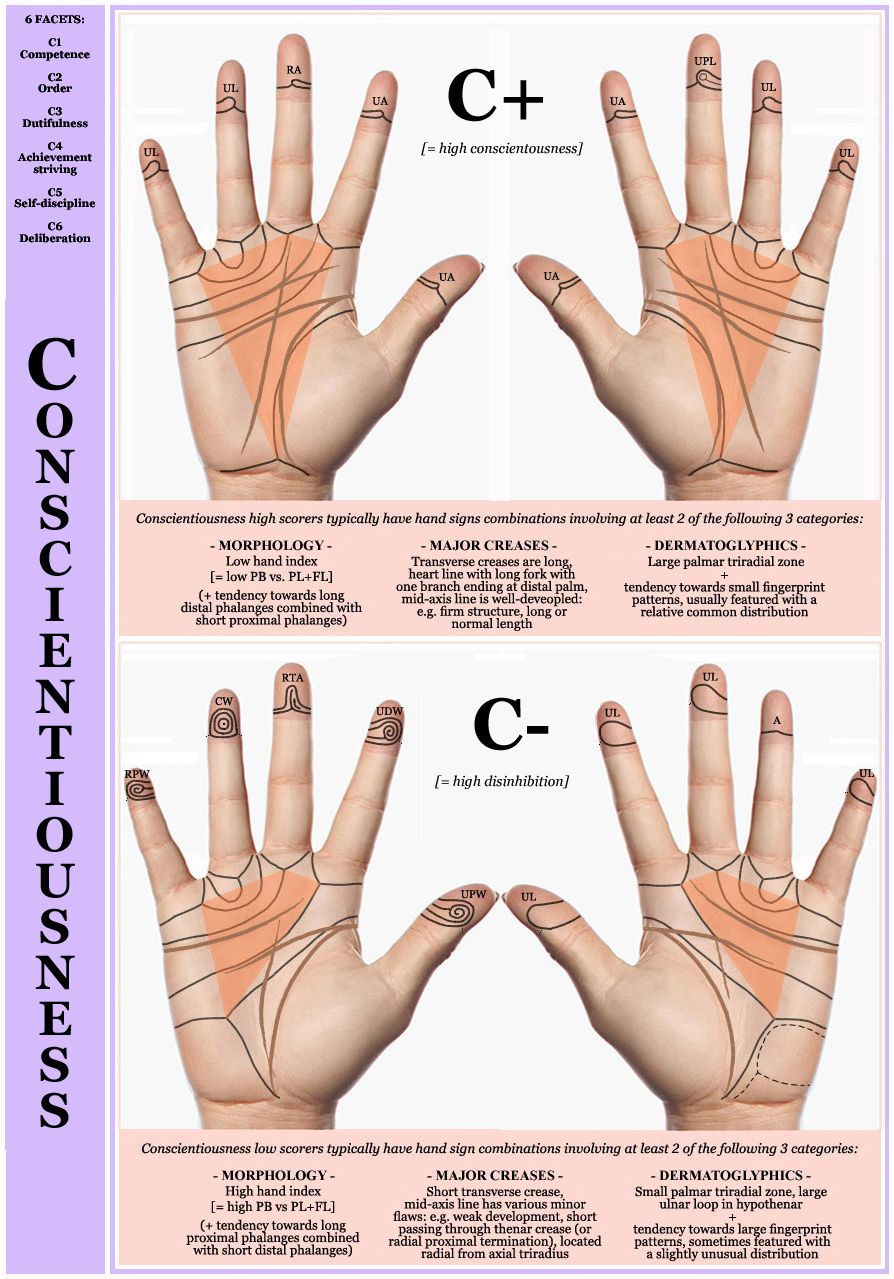 BIG FIVE: hand signs in Conscientiousness vs. Casualness! Conscientiousness-personality-hand-chart-versus-casual