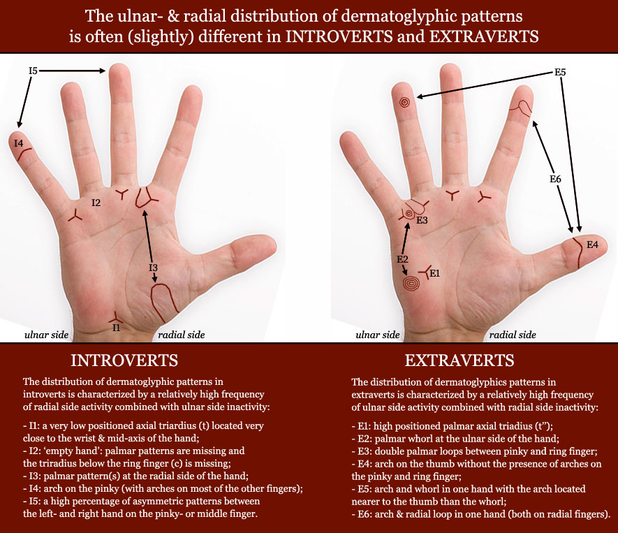 Whorl on the palm. do you know what this means? Dermatoglyphic-patterns-introverts-extraverts