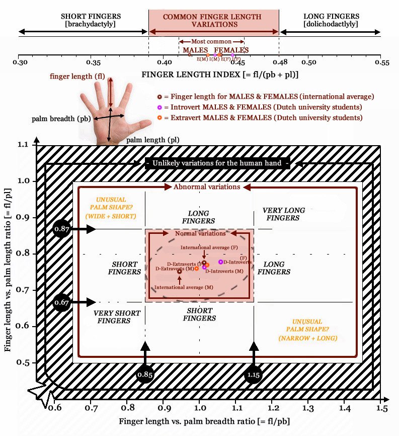 Hand shape linked with Extraversion! Extraversion-introversion-finger-length-index