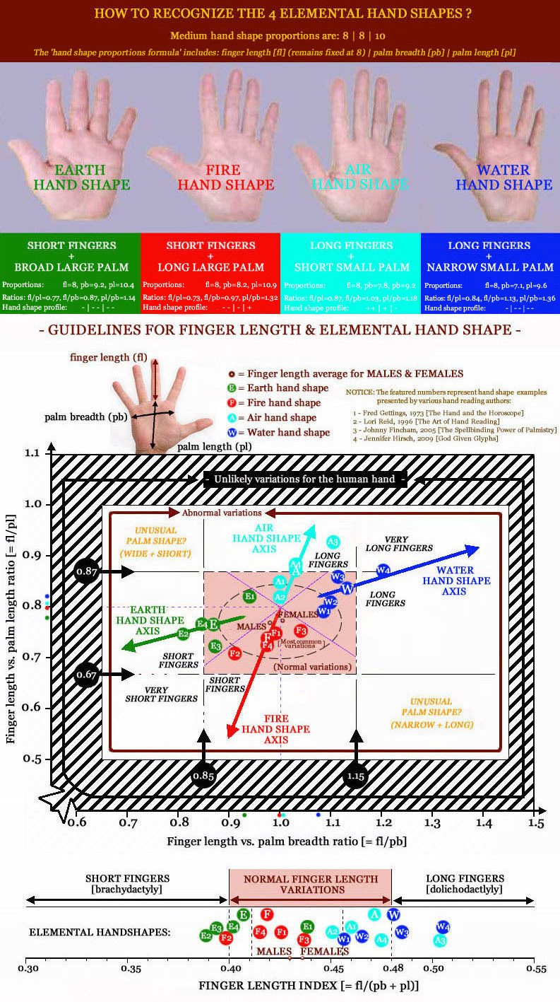 Find your Elemental Hand Shape in 3 steps! (Locked topic) Finger-length-proportions-elemental-hand-shapes-3