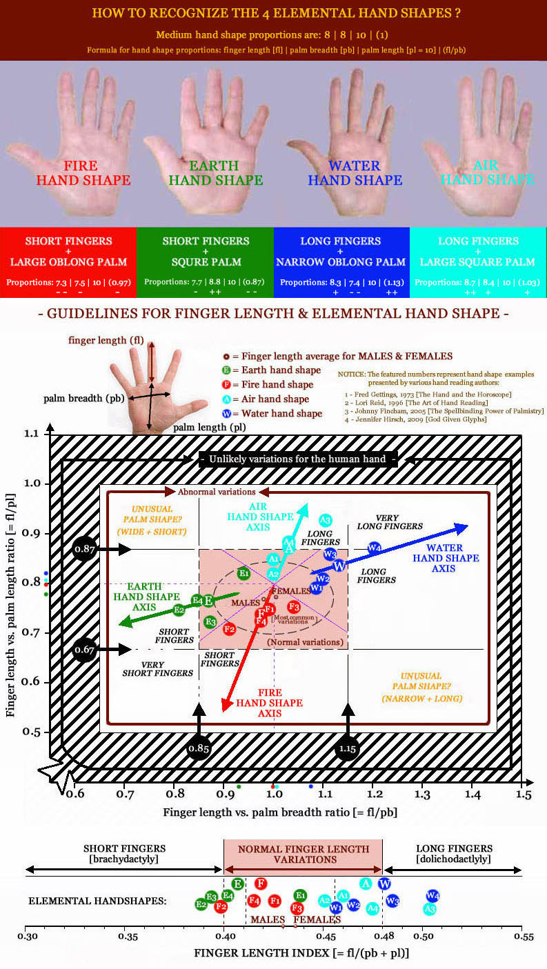 Do you have normal finger length? [locked] - Page 3 Finger-length-variations-hand-shapes-axes-3
