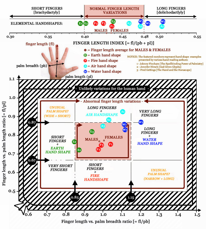 Intro to 5 element chirology - Page 2 Finger-length-variations-hand-shapes