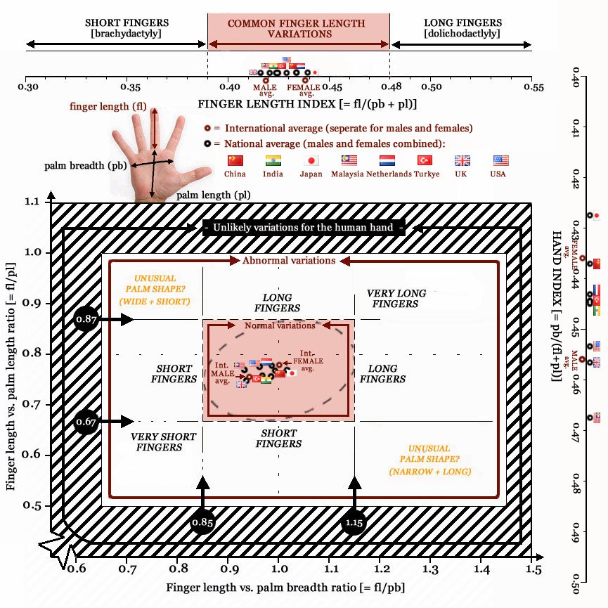 QUIZ - 'A Hands-Journey Around the World'! - Page 2 Finger-length-variations-international-populations