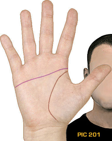 NEW INSIGHTS: How your primary palmar lines relate to your intelligence! Hand-lines-pic-201