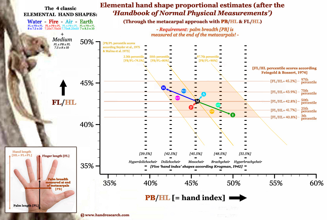 BRUCE LEE - Martial arts actor, philosopher Elemental-hand-shape-assessment-metacarpal-approach