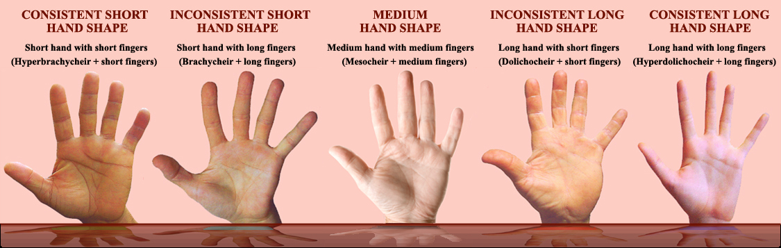 The history of hand shape assessment! Hand-shape-examples