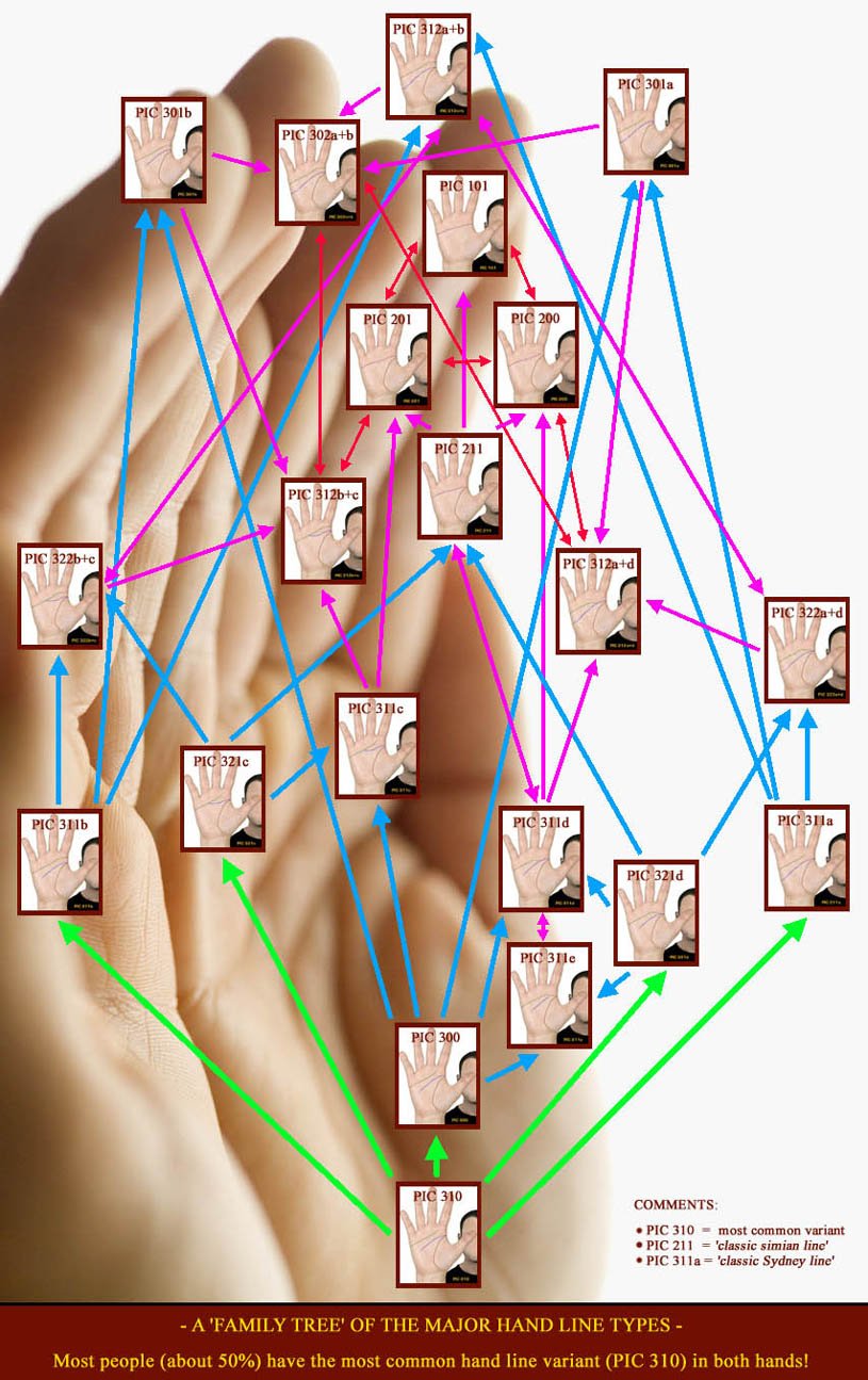 Do you have 'normal' hand lines? Major-hand-lines-family-tree