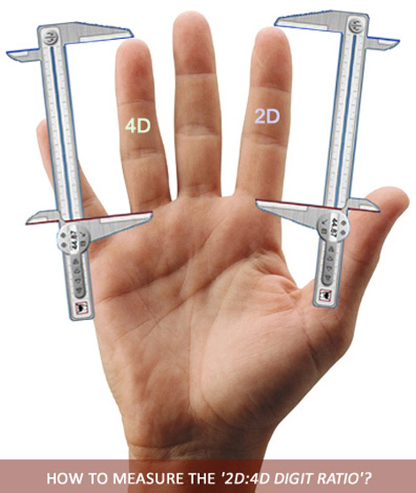 Questions about digit ratio How-to-measure-2d-4d-digit-ratio-finger-length