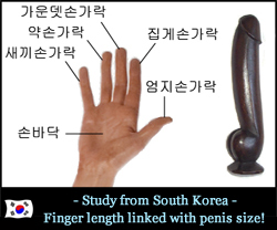 New study from Korea says: 'finger length predicts penis length!' Korea-study-finger-length-linked-penis-size