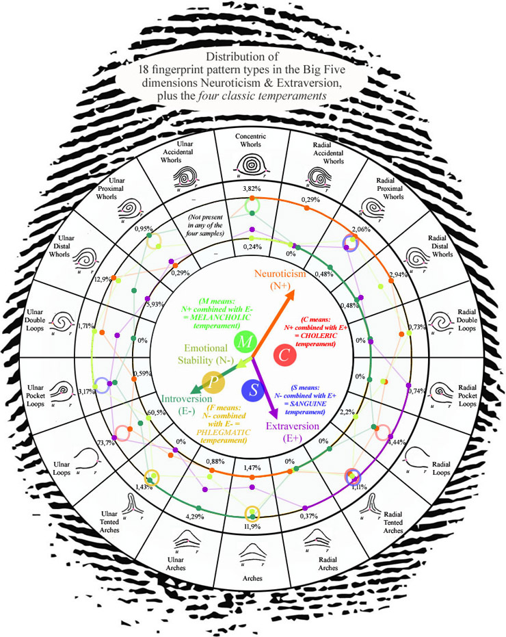 Radial loop fingerprints: what are the facts? Fingerprint-patterns-personality-temperaments