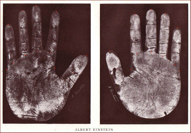 The hands of Albert Einstein - person of the 20th century Albert-einstein-left-right-hand