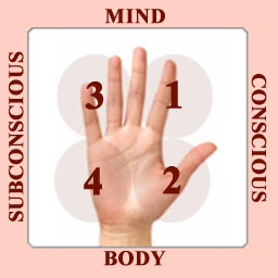 V - Can Mental Illness be Diagnosed from the Palm?I Pdc-hand-system