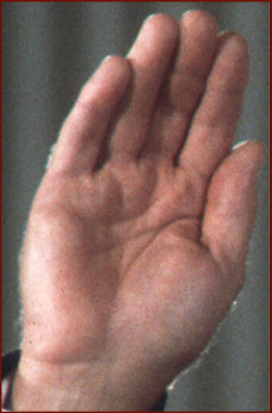 The hands of 10 US presidents! President-gerald-ford-right-hand