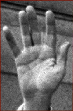 The hands of 10 US presidents! President-richard-nixon-right-hand