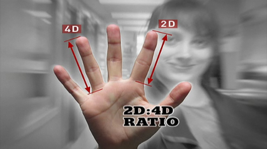 HALIFAX STUDY: Scouting athletic ability with finger ratios! 2d-4d-digit-ratio