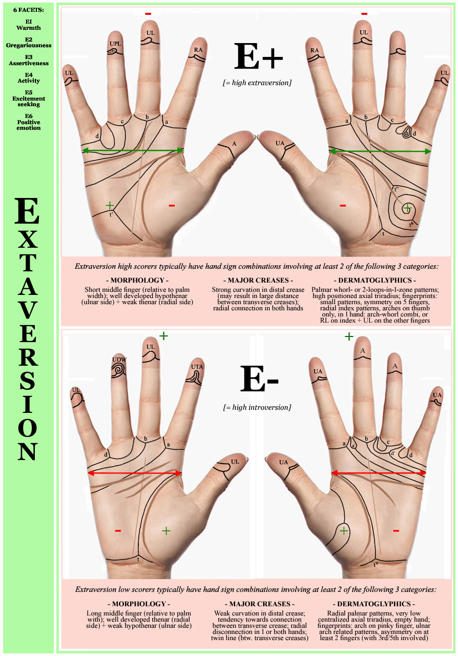BIG FIVE: hand signs in Extraversion vs. Introversion! Big-five-personality-dimensions-extraversion-hand-signs