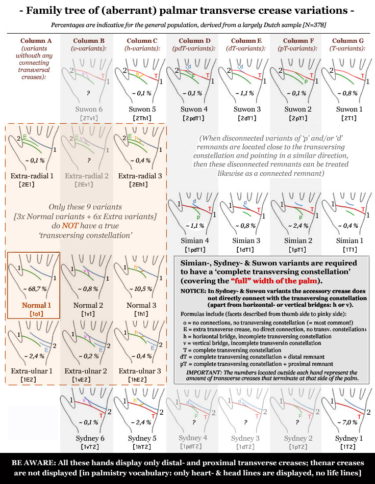 Suwon line? Familty-tree-of-aberrant-palmar-transverse-crease-variations