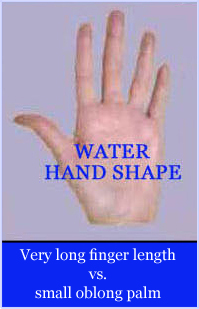 handshape basics Water-hand-shape-very-long-finger-length-small-oblong-palm