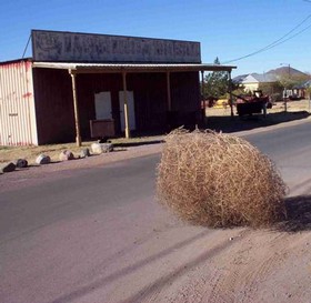 Als ge u echt verveeld... Tumbleweed_small