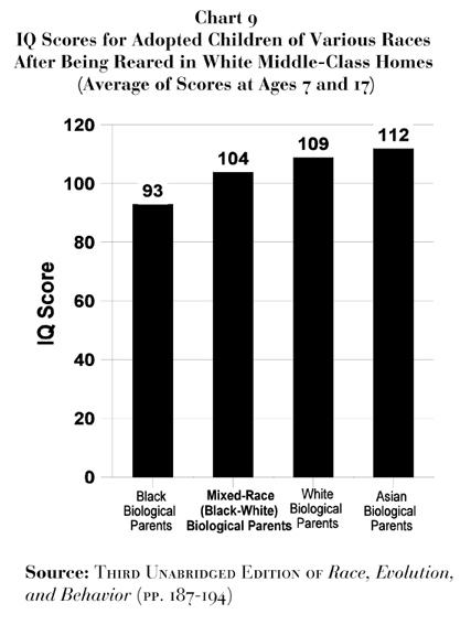 Ataques, disturbios y destrucción en Inglaterra y la inferioridad de la raza negra Chart_09