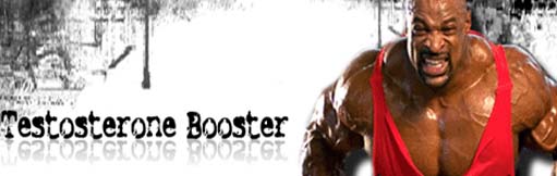 التخليق الحيوي للتستوستيرون ومعدله في جسم الانسان TestosteroneBooster-info2