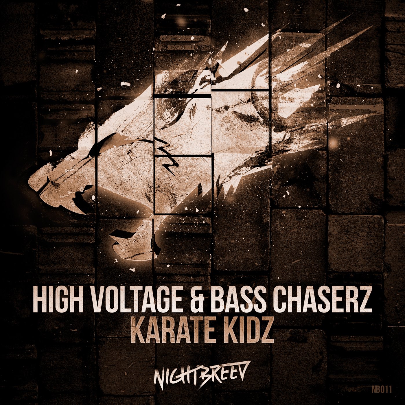 High Voltage & Bass Chaserz - Karate Kidz [NIGHTBREED RECORDS] NB011