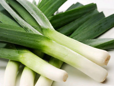 Leeks Thread Leeks