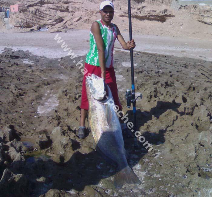                                  Incroyable! Le rêve de tous les pêcheurs 100aabrmmmm