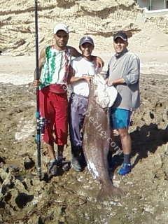                                  Incroyable! Le rêve de tous les pêcheurs 100aabrmmmmi