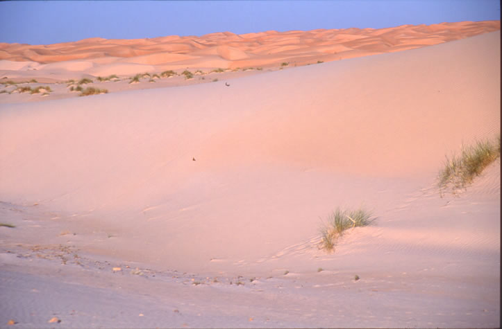 مناظر من بلادي(موريتانيا) DIA_1600_Mauritanie_01_13_psd