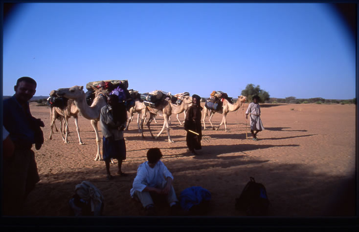 مناظر من بلادي(موريتانيا) DIA_1600_Mauritanie_01_14_psd