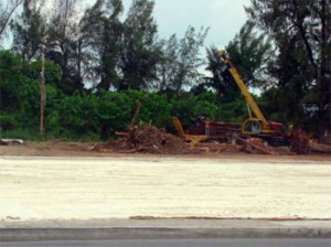 Zona Minera Moa-Nicaro (Un caso de degradación ambiental en Cuba). Gruas-300x224