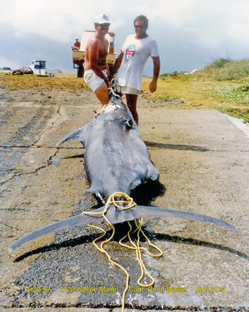 Lista y Fotografías de Marlins Granders pescados en Hawai por www.hawaiifishingnews.com 060-balzon-1120