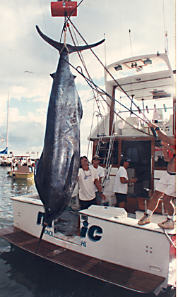 Lista y Fotografías de Marlins Granders pescados en Hawai por www.hawaiifishingnews.com 087-magic-1106