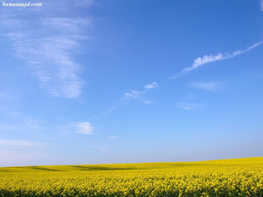 خلفيات طبيعية 2009 WallpapersNature_5