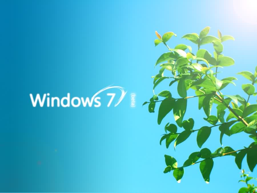 حمل وشاهد أجمل خلفيات لسطح المكتب _windows 7 Windows-7-2