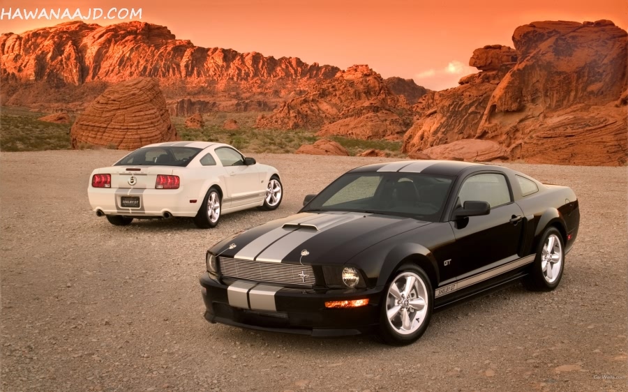 اجمل واحلي خلفيات لسطح المكتب Ford_Mustang_319