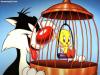 مجموعة تشكيلات كرتون Sylvester-tweety-wallpaper