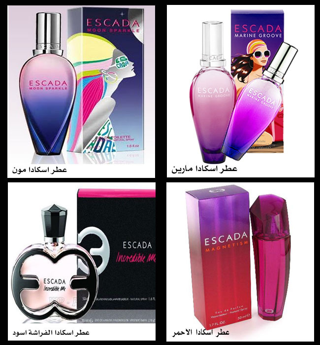 كولكشن عطور روعة 139827hayah