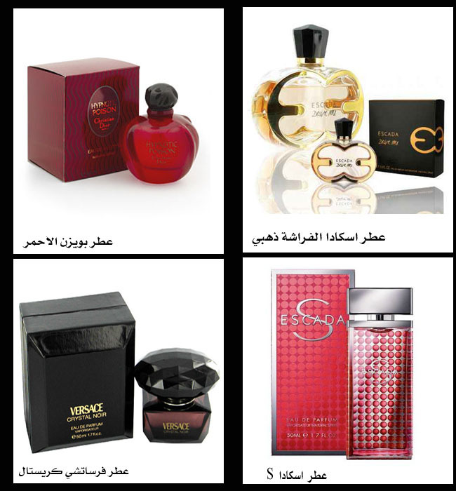 كولكشن عطور روعة 139828hayah