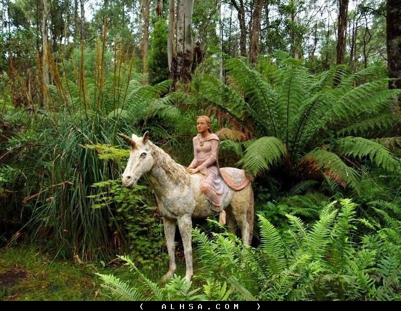  فن النحت على جذوع الشجر Sculptures in the trunks of trees 24814